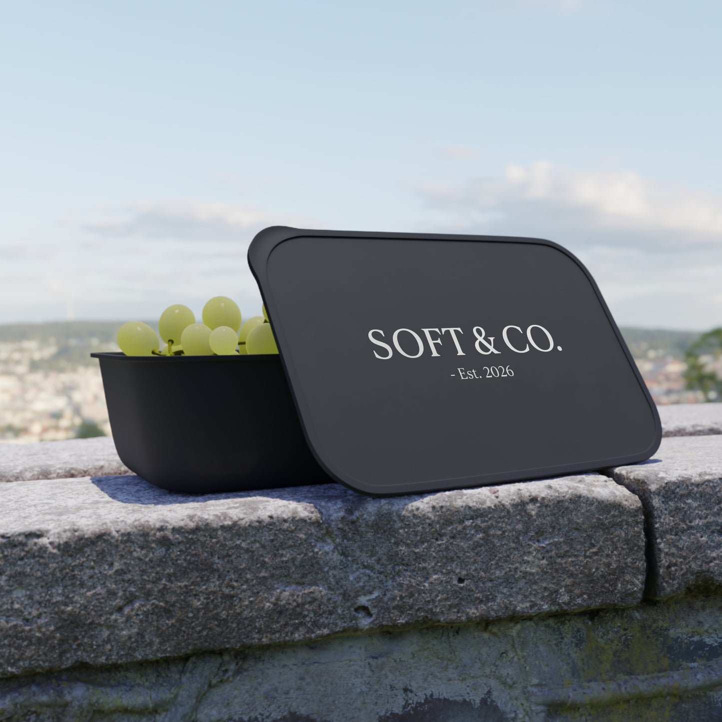 Bento Box