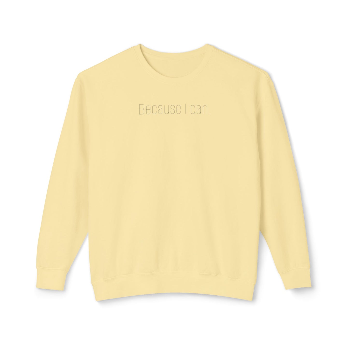 'Because I can.' Minimalist Crewneck Sweatshirt — Lightweight Casual Pullover